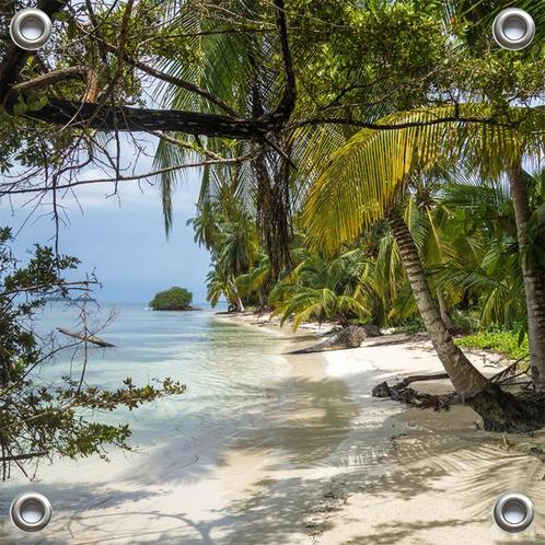 Tuinposter Strand met overhangende Palmbomen 100x100cm