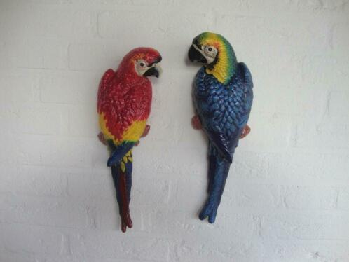 Twee prachtige papegaaien multi color ( spotgoedkoop)