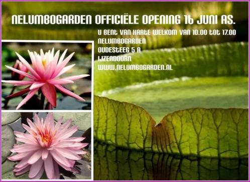Uitnodiging officile opening Nelumbogarden zaterdag 16 juni