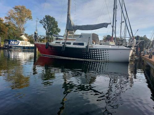 Unieke Jaguar 27