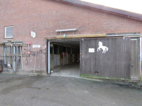 Unieke kans stage bij startend paardenbedrijf