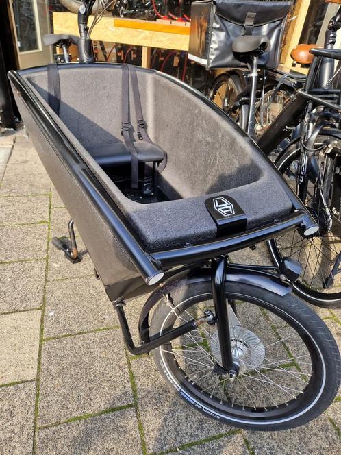 Urban Arrow Family