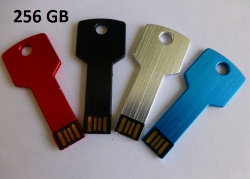 USB Sleutels Schrijfcapaciteit 256 GB