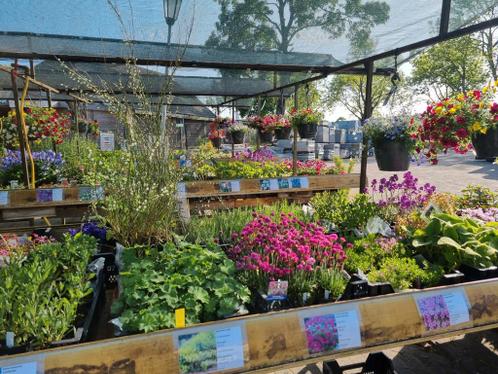 Vaste planten, heesters struiken bomen potgrond aarde etc