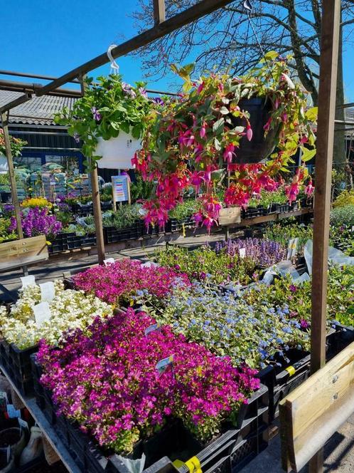 Vaste planten, heesters struiken bomen potgrond aarde etc