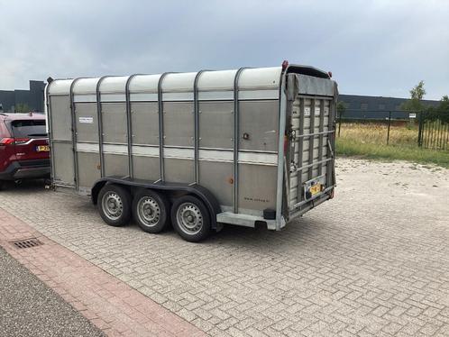 Veetrailer ( dubbeldeks)  Ifor Williams 3 asser