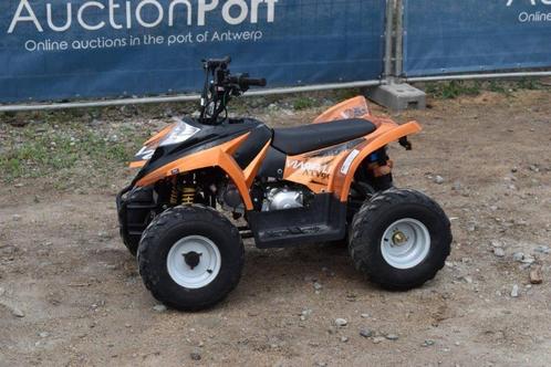 Veiling Zitmaaiers , Quads en Minigravers