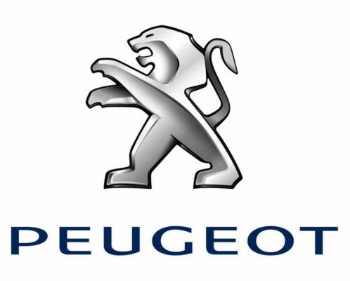 Versnellingsbak Peugeot HANDGESCHAKELD reviseren 1j garantie