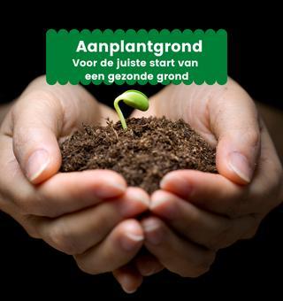 Vivimus Aanplantgrond - RHP 1m