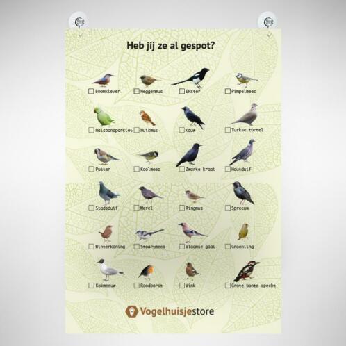 Vogel afstreep-poster