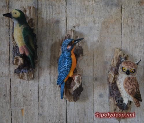 vogels ijsvogel uil raaf adelaar papegaai decoratie beelden
