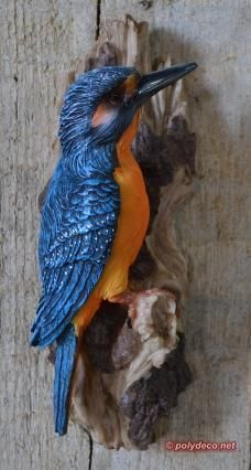 vogels ijsvogel uil raaf adelaar papegaai parkiet beelden