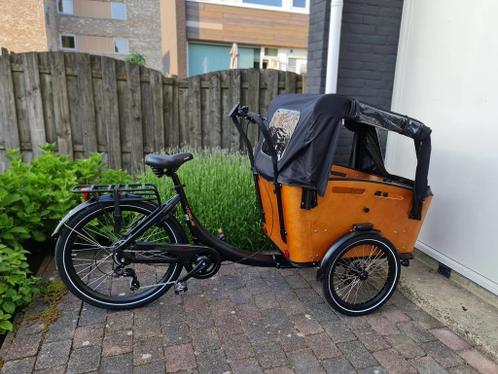 Vogue Superior 3 (2 maanden oud)