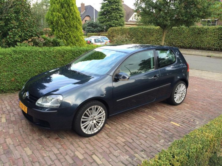 Volkswagen Golf 1.4 16V 55KW 3D 2004 Blauw