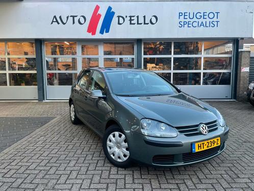 Volkswagen Golf 1.4 FSI AIRCO 66KW 2004 Grijs