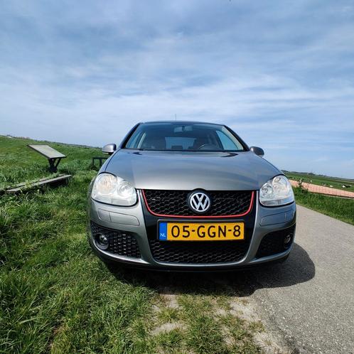 Volkswagen Golf 1.4 TSI 90KW 2008 Grijs (NIEUWE APK)