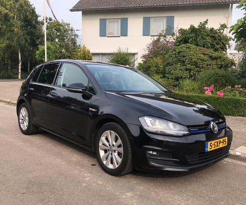 Volkswagen Golf 1.6 TDI 81KW 5D Highline Blue Motion 2014