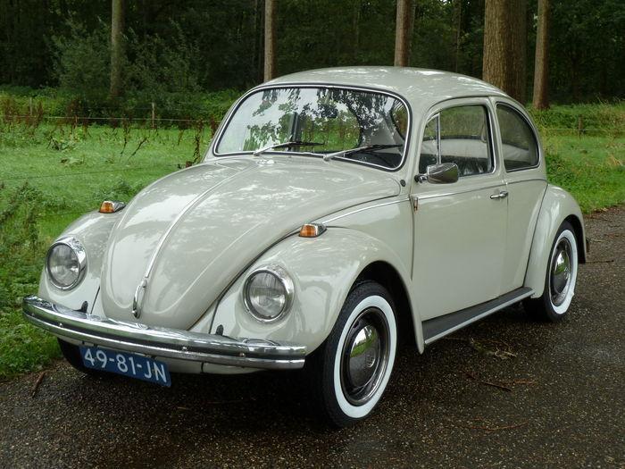 Volkswagen Kever 039039Type 1300039039 - 1969