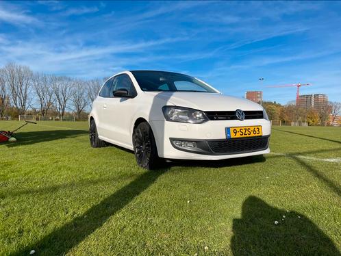 Volkswagen Polo 1.2 TSI 66KW DSG 2013 Wit