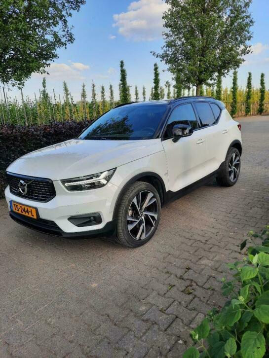 Volvo Xc40 T4 190pk Geartronic 2018 Wit