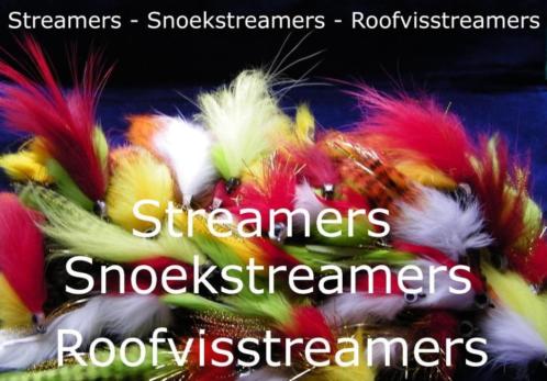 Voor Spinhengel - Jerkbait en Baitcaster Snoekstreamers