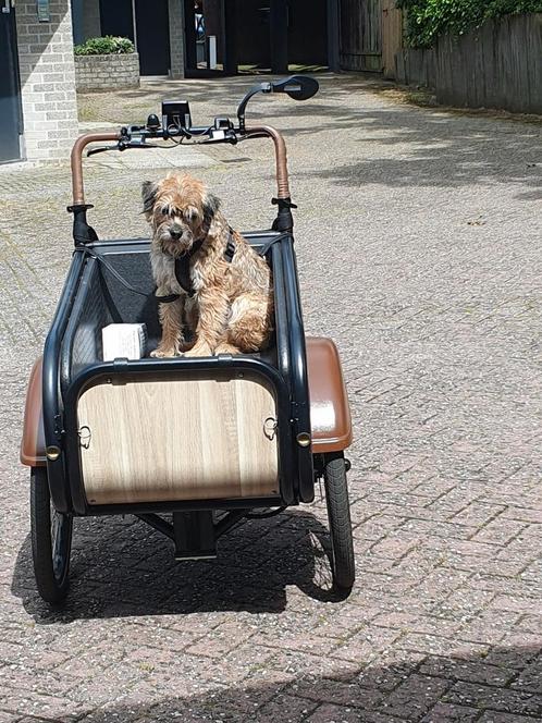 Vrijwel nieuwe SociBike bakfiets