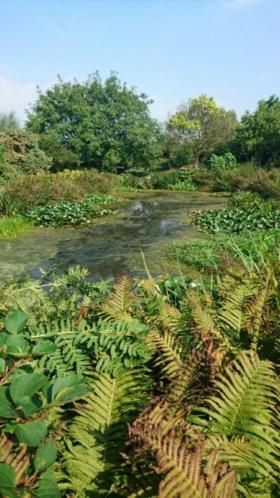 vrijwilligers voor mijn tuin