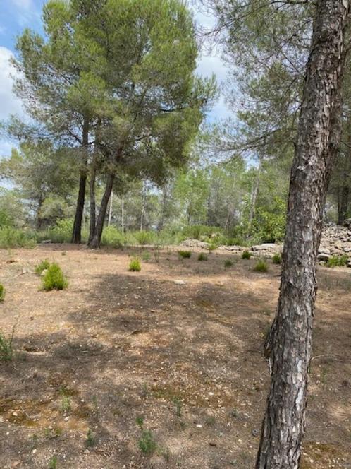 Vrijwilligerstagaire web design, content en social media