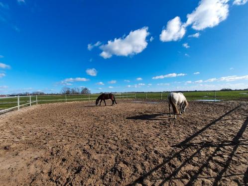 VRIJWILLIGERSWERK AANGEBODEN