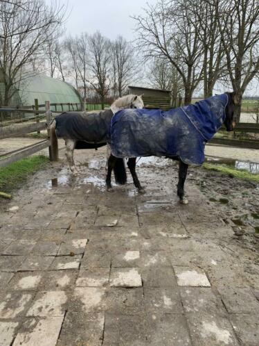 Vrijwilligster gezocht poepscheppen paarden