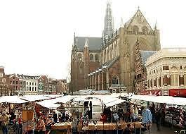  Vroege vogel gezocht voor op de markt 