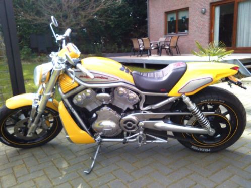 VRSCR V-rod (Streetrod) 