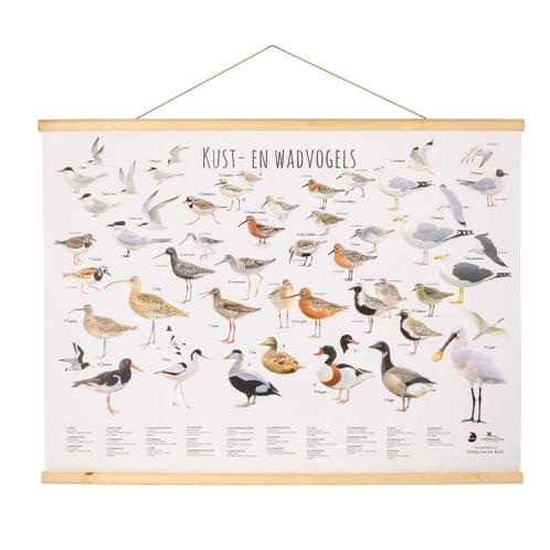 Wandposter Waddenvogels