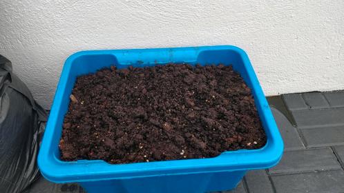 Wat is wormen mest, wormen compost   Wormenmest is het eind