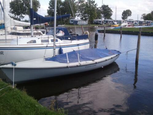 Wedstrijd Randmeer Advance 034 Grauwe Gans034