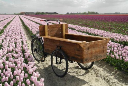 WEG WEG Bakfiets voor Reklame of decoratie