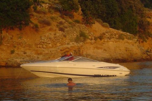 Wellcraft Excel 19 SL