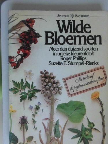 Wilde Bloemen Roger Phillips