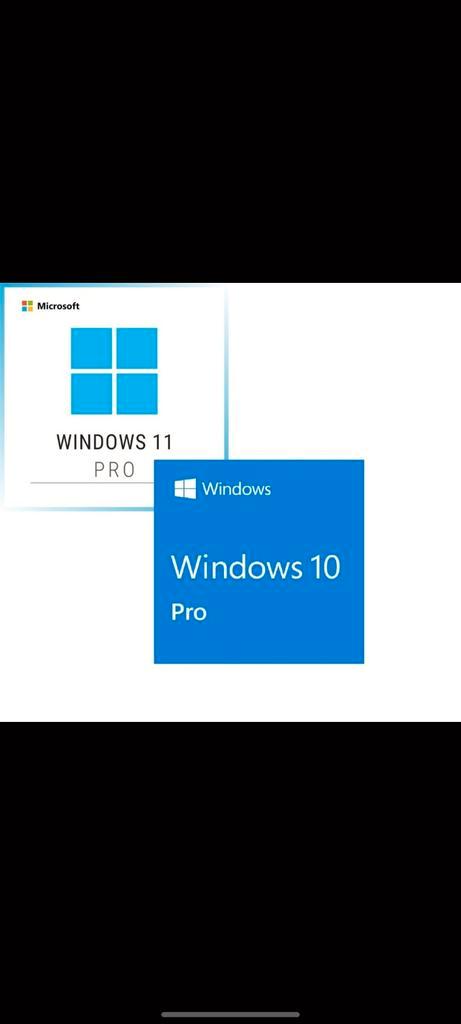 Windows 10 11  professional nl 32x64 dvd usb
