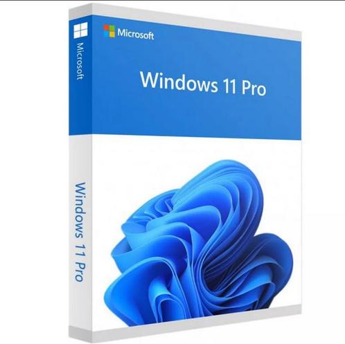 Windows 10  11 Professional RETAIL Key