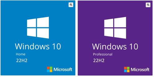 Windows 10 22H2, Software Direct Installeren, DOWNLOAD-LINK