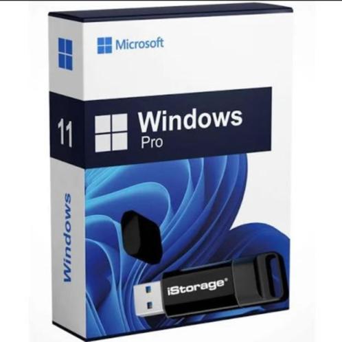 Windows 10 amp 11 PRO NL USB Flash Drive  licentie