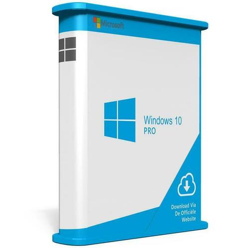 Windows 10 Pro  5,94  Direct Inbox  Activatiegarantie