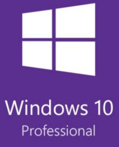 Windows 10 Pro (NL) installatie USB  Key  Peter Shop 2099