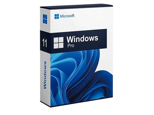 Windows 1011 pro digitale licentie