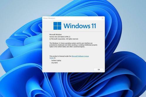 Windows 11   11 Pro Installatie (ALMERE) TPM  2.0
