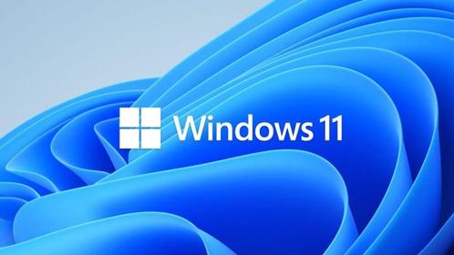 Windows 11 bootable Installatie USB Stick