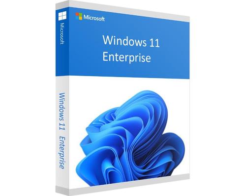 Windows 11 Enterprise - Direct Installeren - Online Licentie