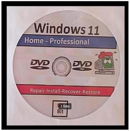 Windows 11 Home NL DVD amp Windows 11 Professional NL DVD-ROM