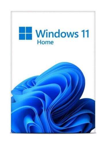 Windows 11 installatie service
